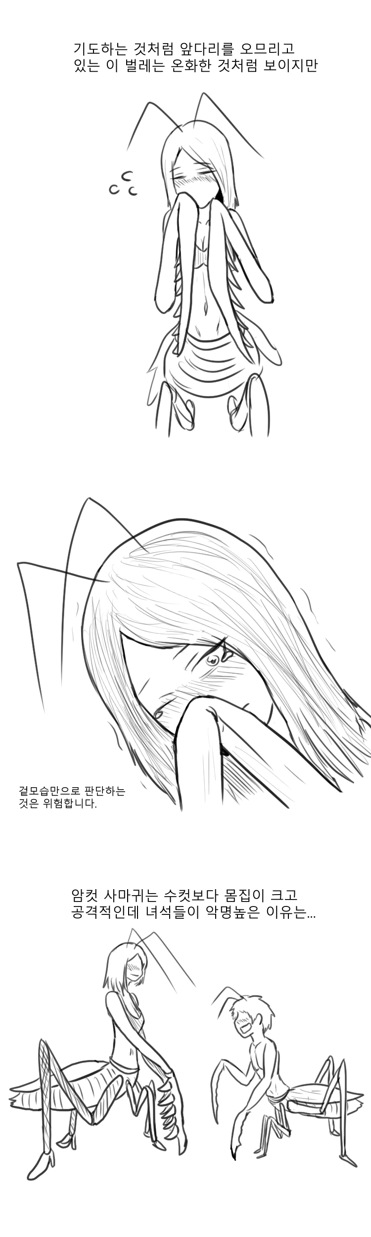 약혐) 교육특선 사마귀 만화