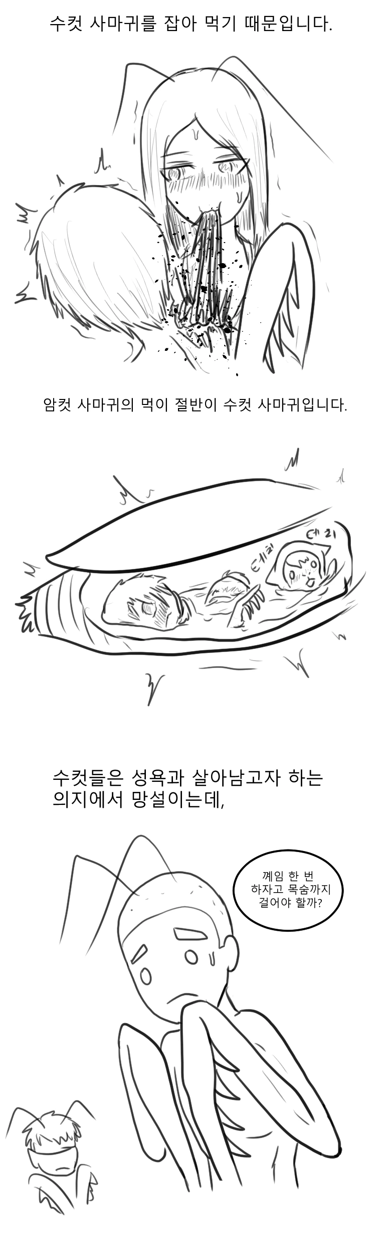 약혐) 교육특선 사마귀 만화 - 이미지 2
