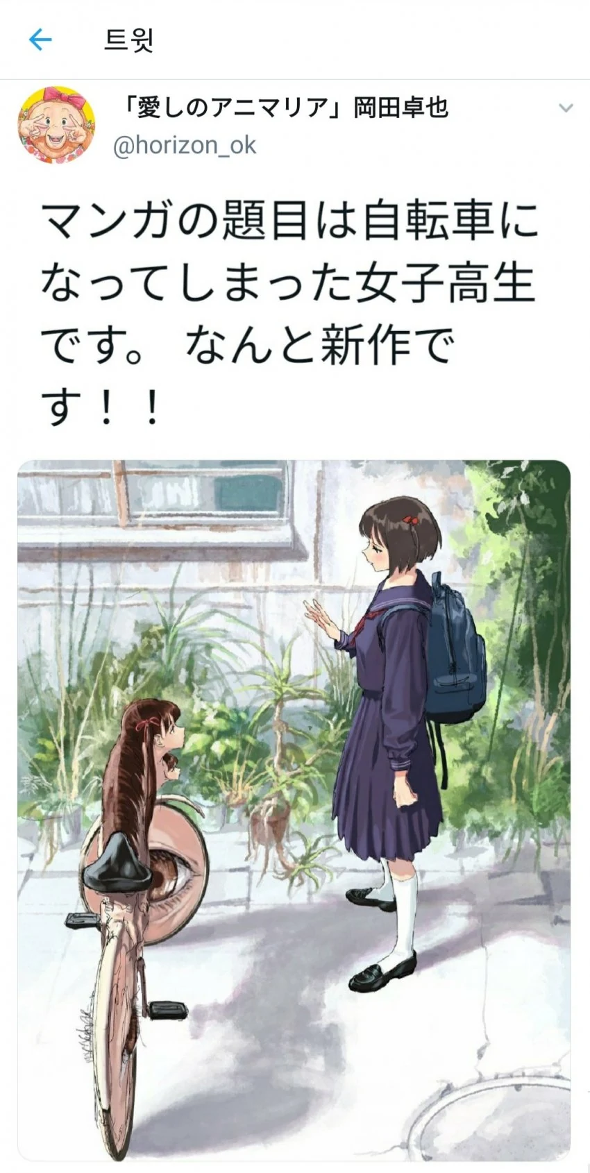 약혐) 진짜 광기가 뭔지 보여주는 만화.manga