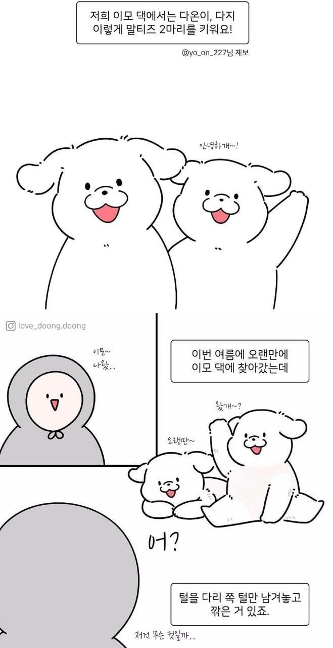 댕댕이 미용할 때 다리털만 안깎은 이유.manhwa