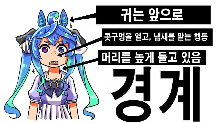 [말딸] 말의 감정 표현.manhwa - 이미지 2