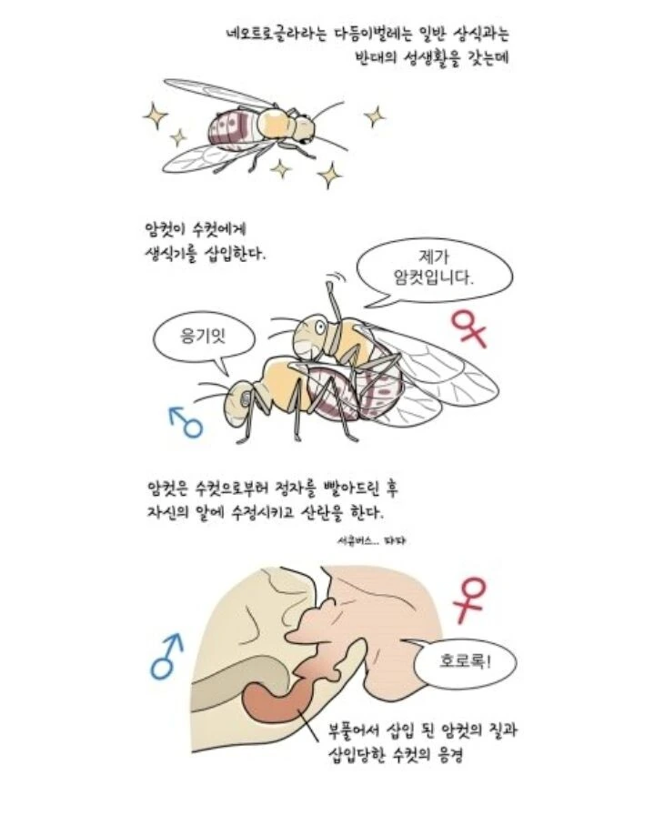 ㅇㅋ에게 ㅅㅇ당하는 수컷 만화.manwha