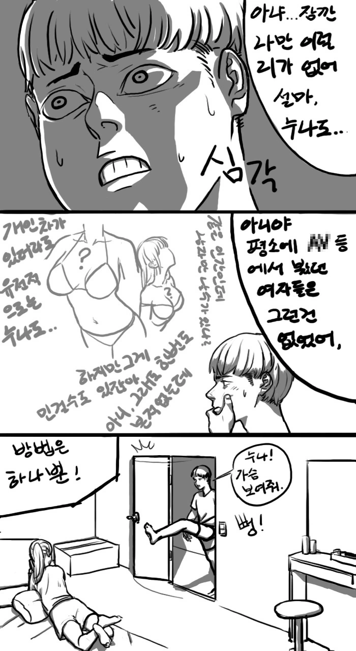 누나 ㄱㅅ 보는 만화 - 이미지 3