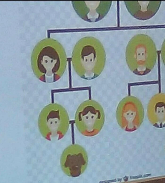 개족보되는 ㄱㅊ 만화