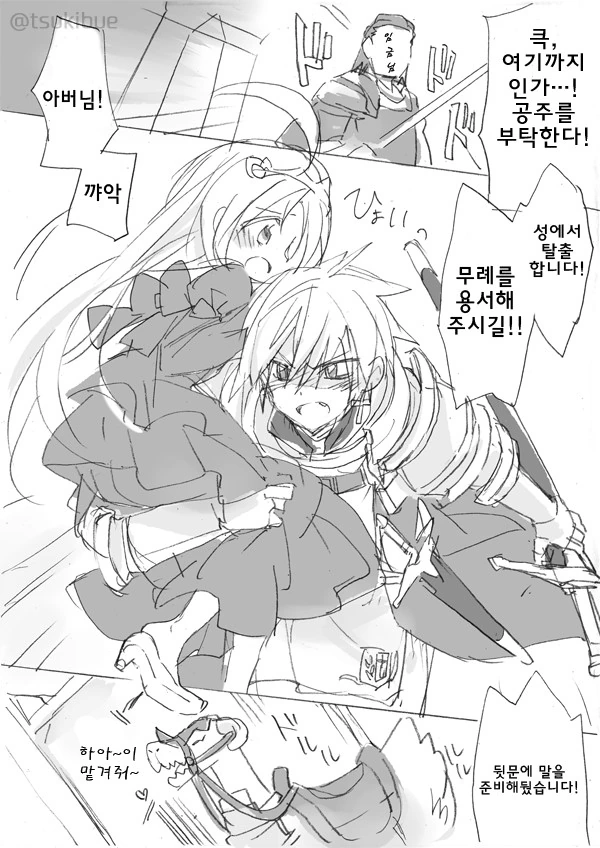 망국의 공주와 호위기사.Manga