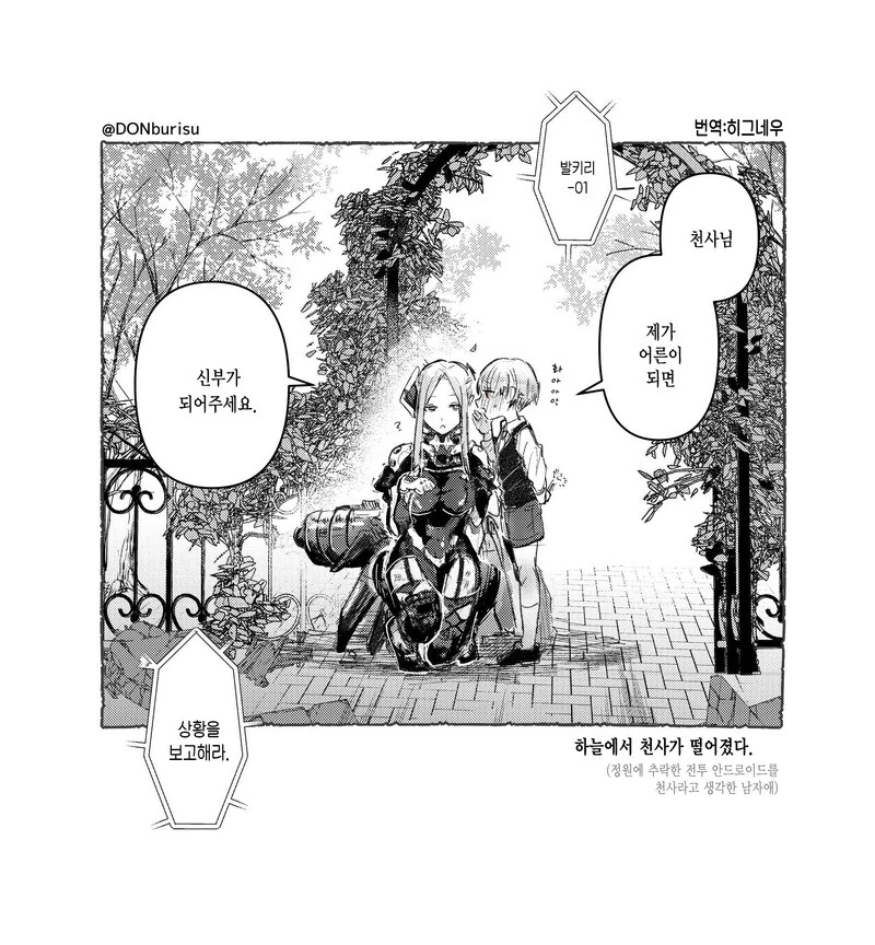하늘에서 천사가 떨어졌다.manhwa