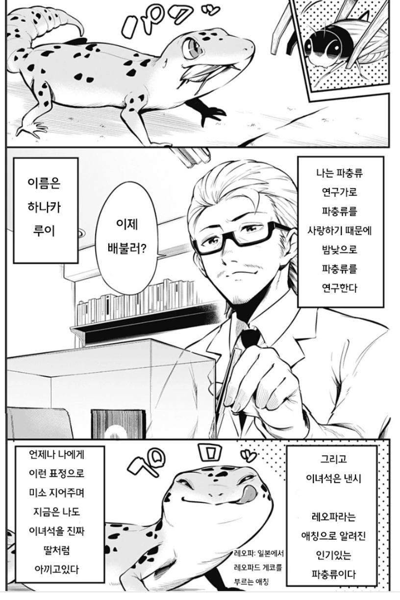 이과 사람 애완동물이 모에화 되는 manga