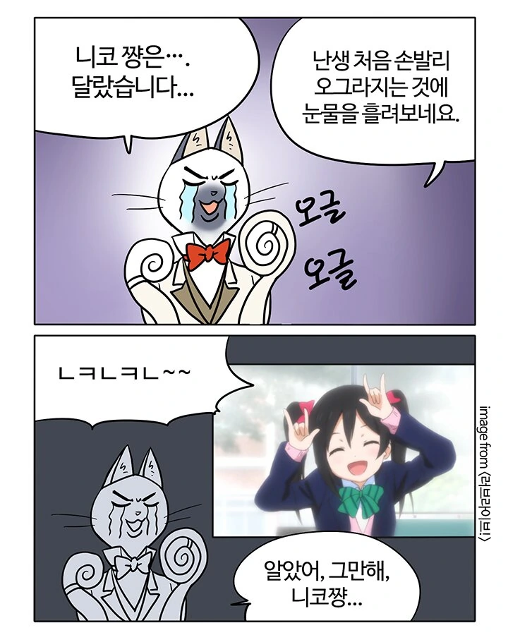 러브라이브 캐릭터 요약.manhwa - 이미지 7