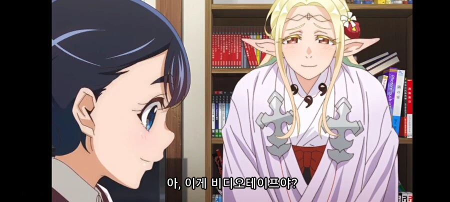 개쌉틀딱 오타쿠 엘프의 증거