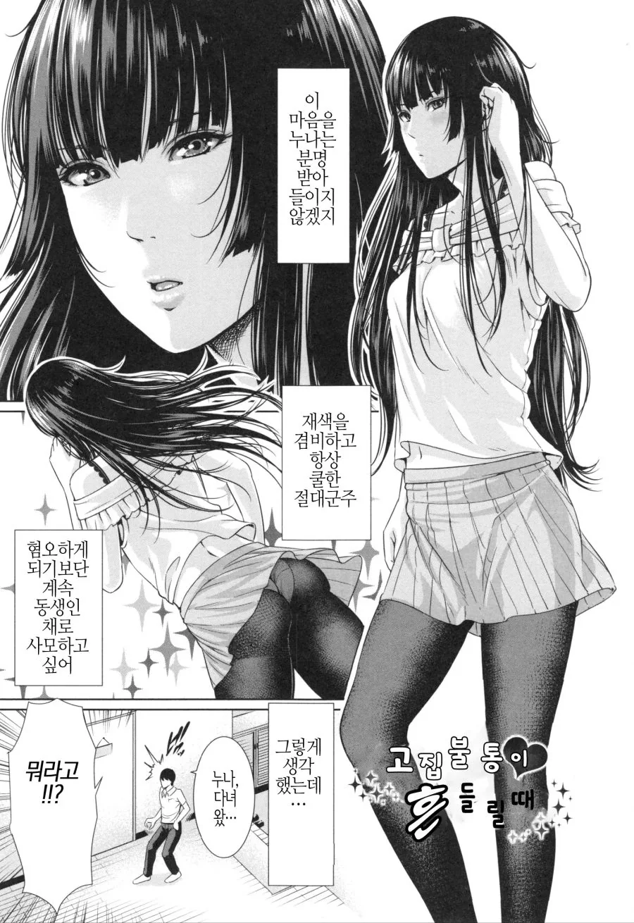 쿨한 누나 만화