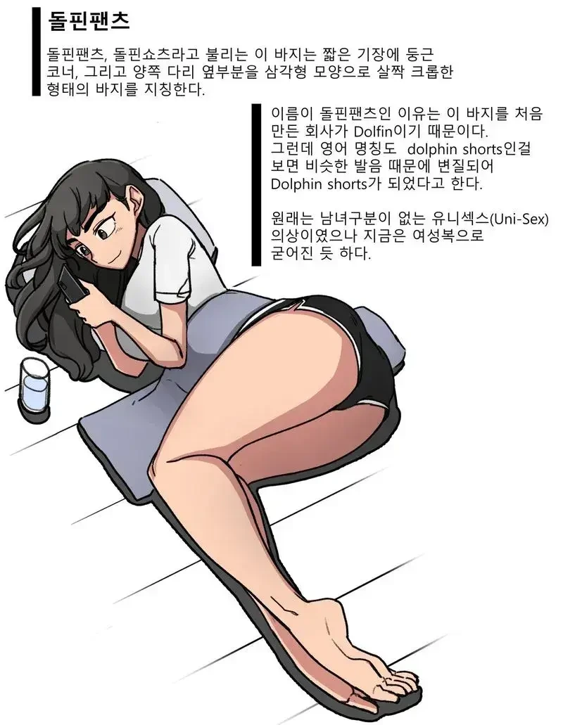 돌핀팬츠에 대해 알려주는 만화
