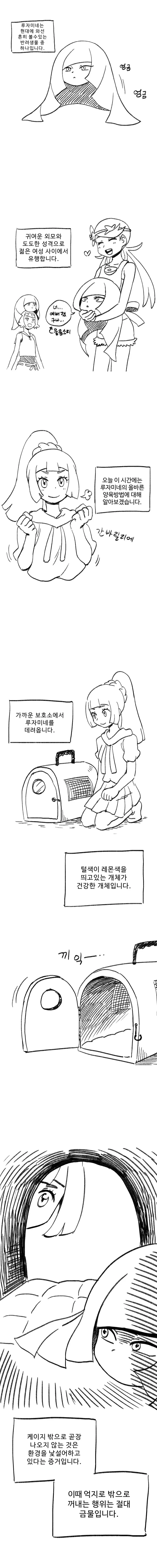 (포켓몬) 루자미네 키우는 Manhwa.