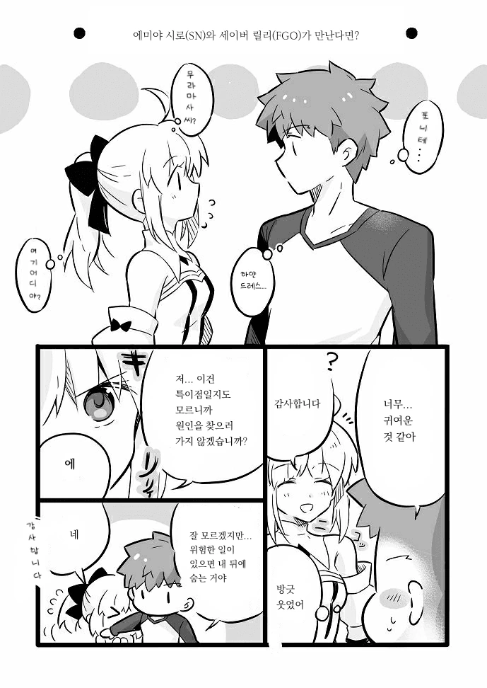 FGO) 릴리와 시로 만화