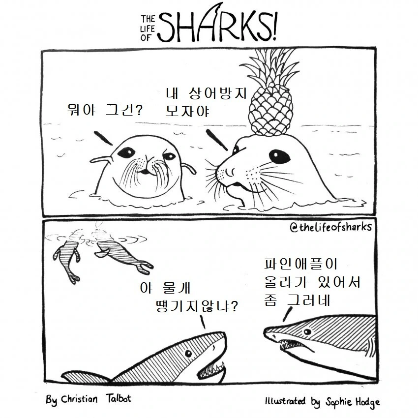 미식가 상어 만화