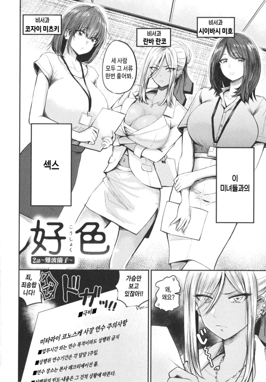 흑갸루 비서