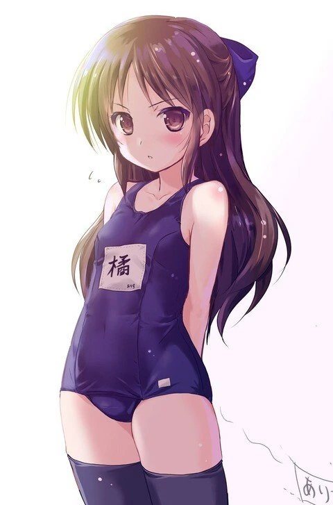 (ㅎㅂ) 스쿨미즈 아리스