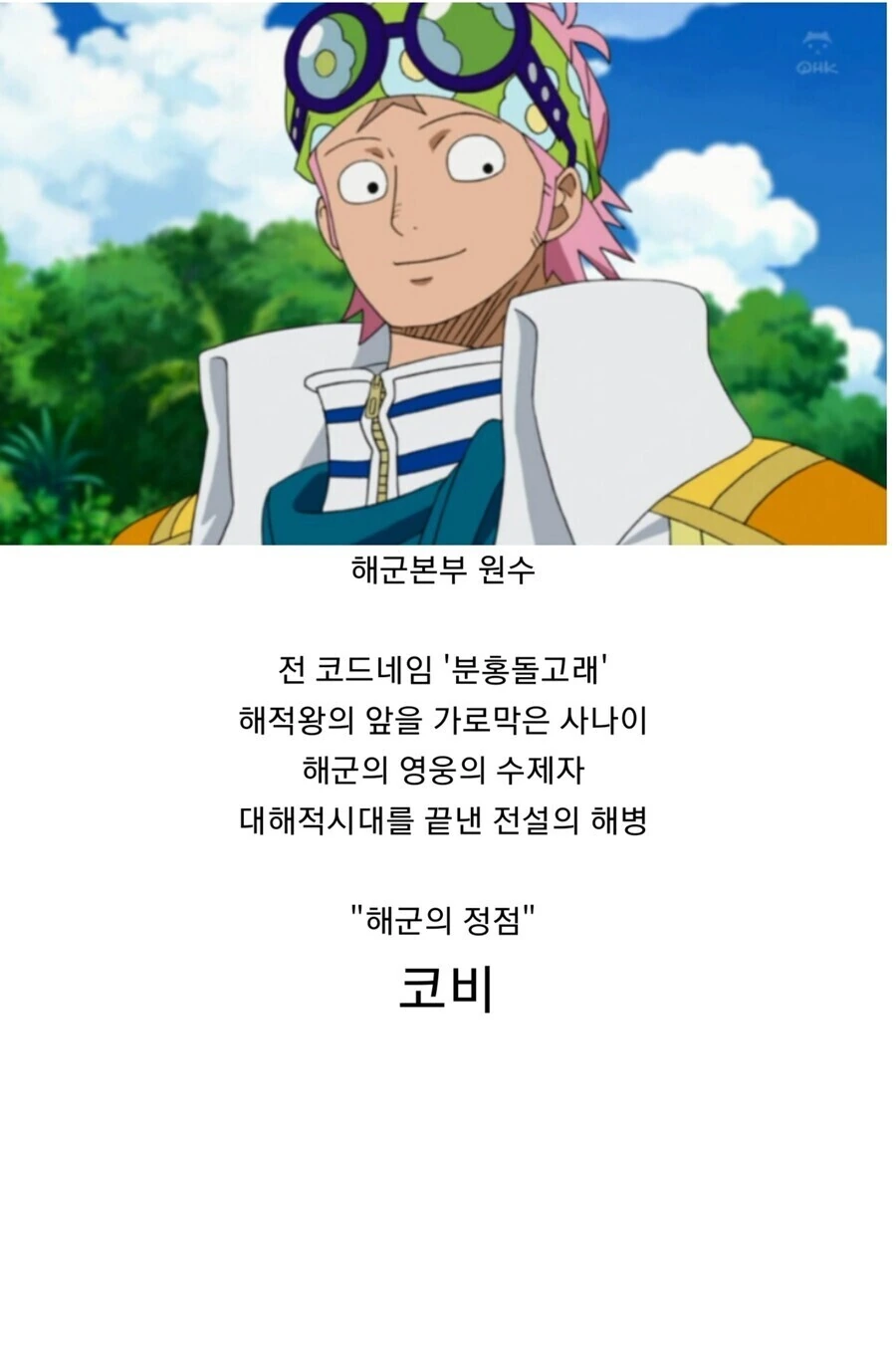 원피스) 만약 코비가 해군원수를 한다면....
