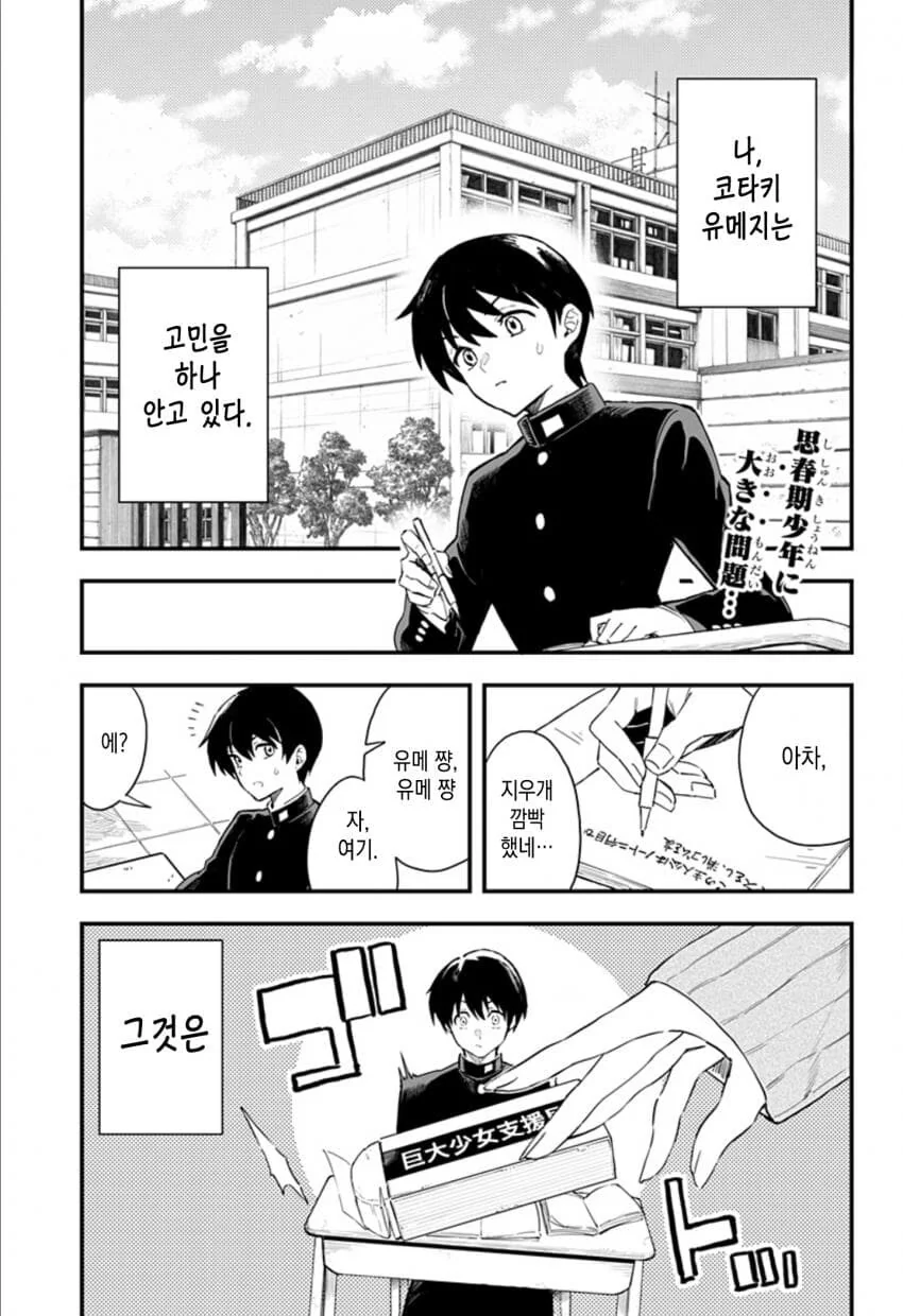 국내 정식 발매 예정인 거대소녀 순애 만화.manga