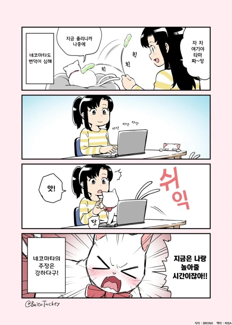 꼬리두개달린 고양이 만화 - 이미지 2