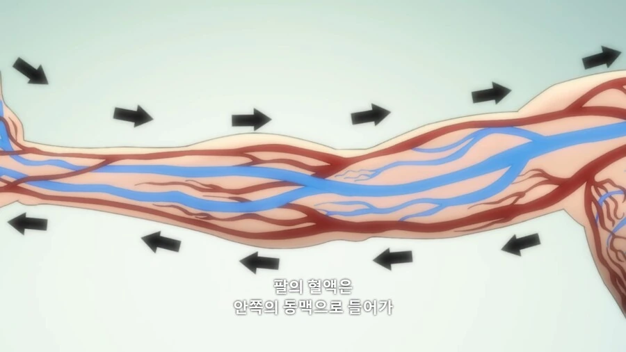 바키]은근 유익한 격투 만화