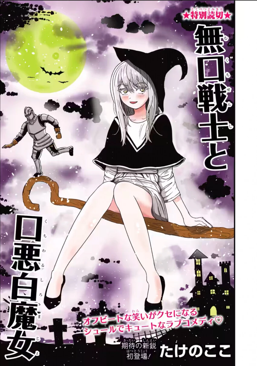 백마녀와 과묵한 기사.Manhwa - 이미지 3