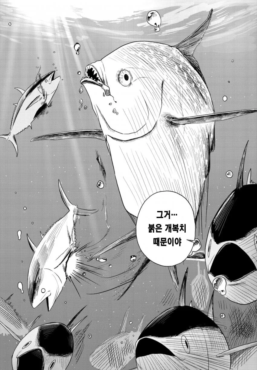 허언증 누나.manhwa - 이미지 12