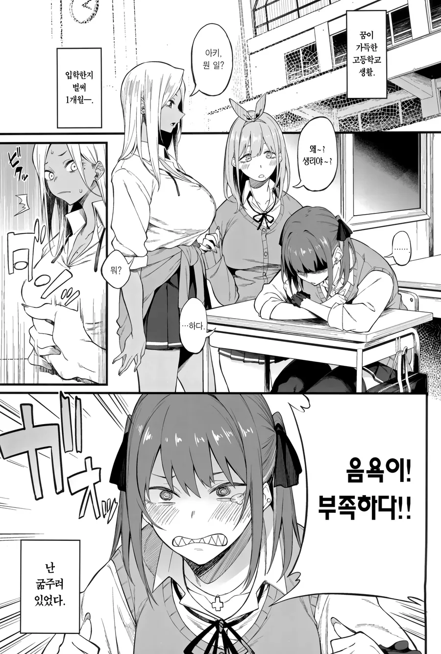 갸루 셋이 남동생 있는 집에 쳐들어 가는 만화