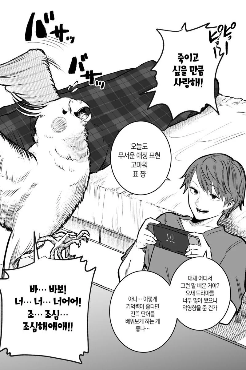 얀데레 스토커녀와 충정심 깊은 앵무새 만화.MANHWA - 이미지 3