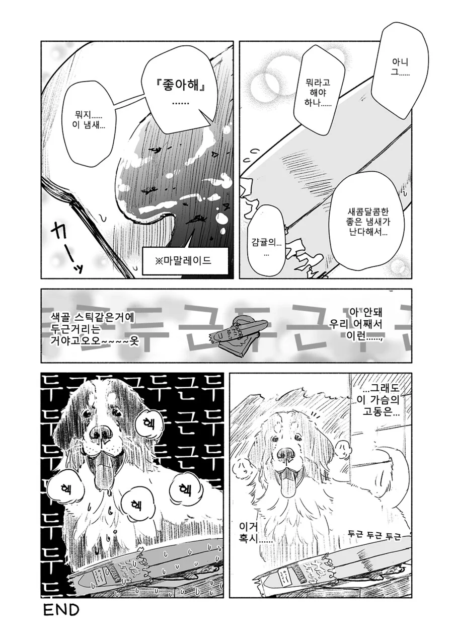 ㅎㅂ) 판치라 럽코 만화.manga - 이미지 4