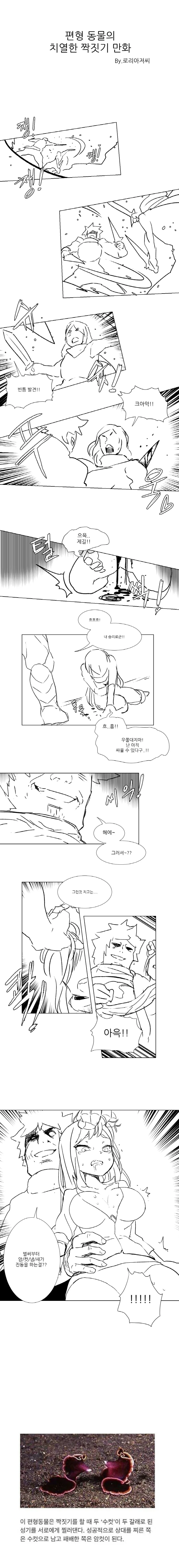 결투하는 만화