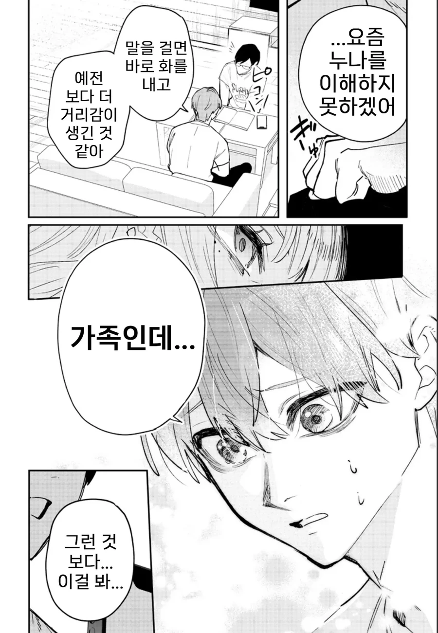 개ㄱㄹ 빗치 누나를 이해시키기는 남동생.manhwa - 이미지 17