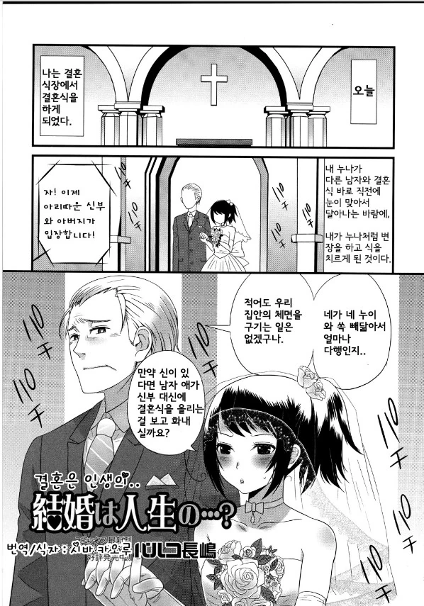 형부와 결혼하는 처남 만화