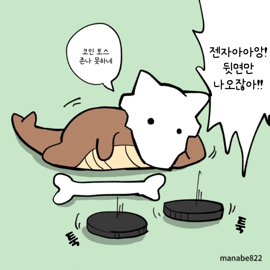 포켓몬/번역) 텅구리 덱 굴리는 만화