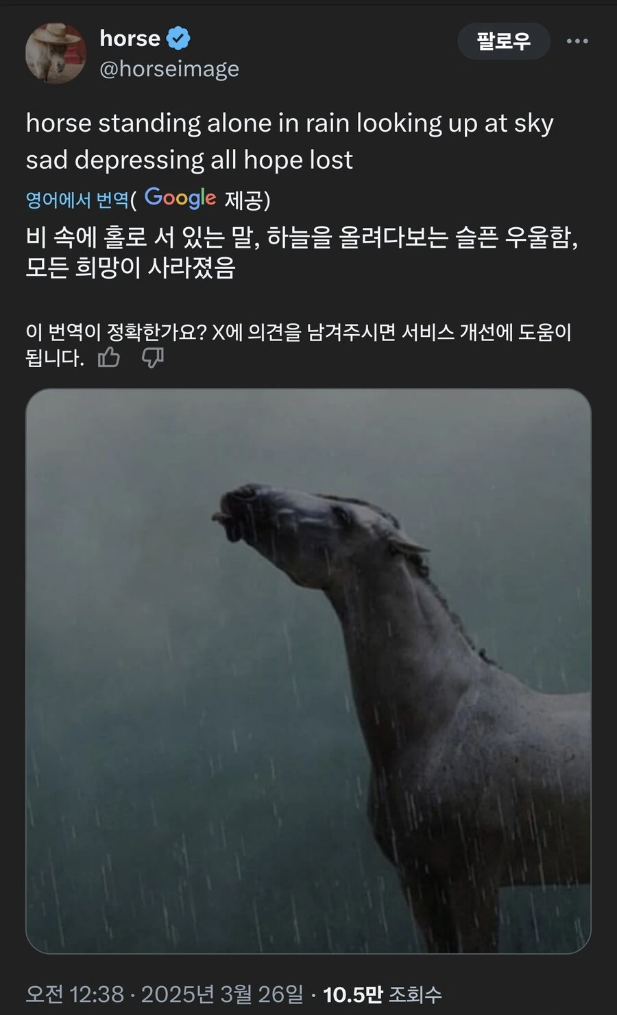 말딸) 말딸 또레나 : 어?! 나 이거 알아요!