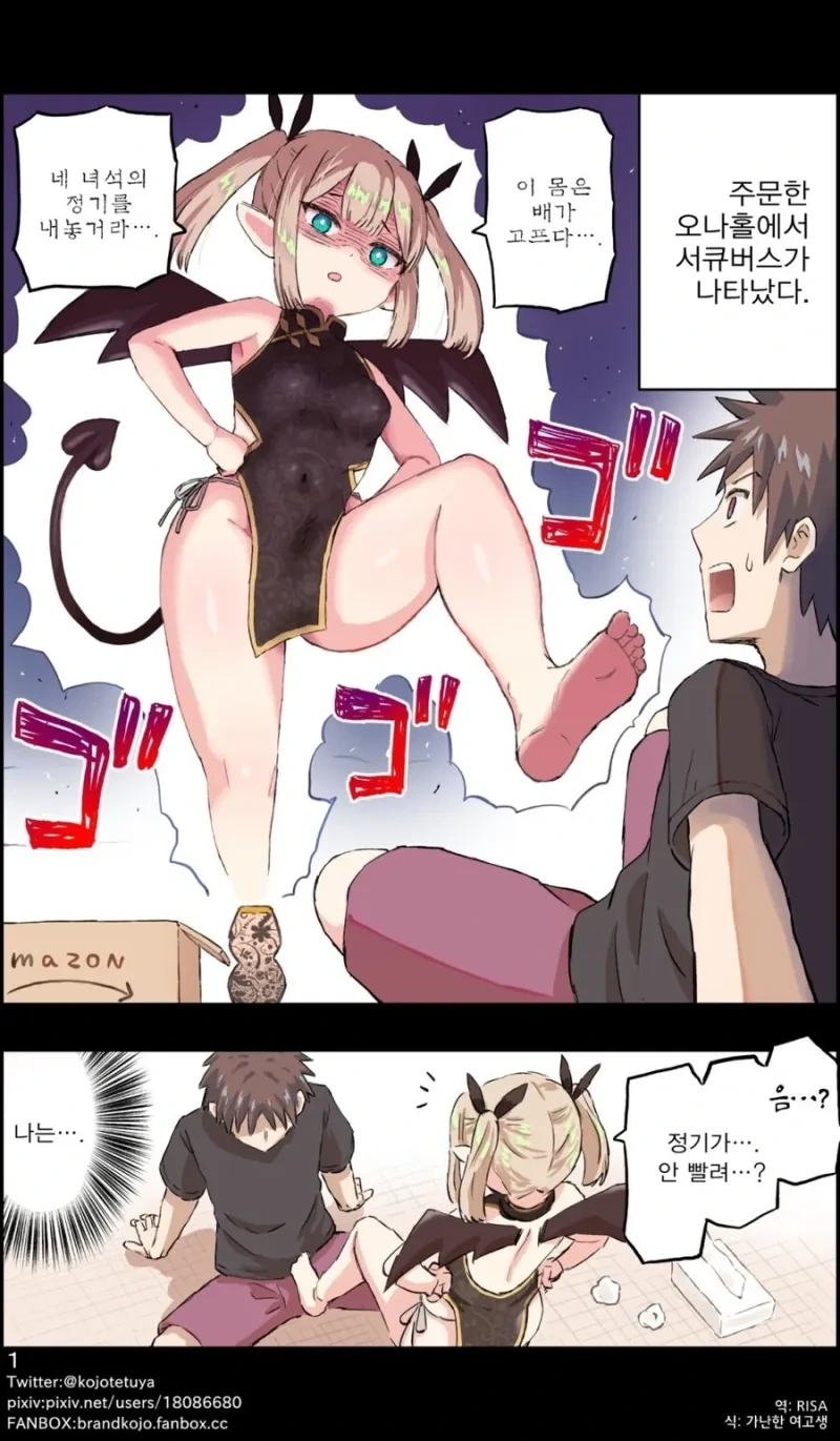 주문한 ㅇㄴ홀에서 서큐버스가 나타난.manhwa