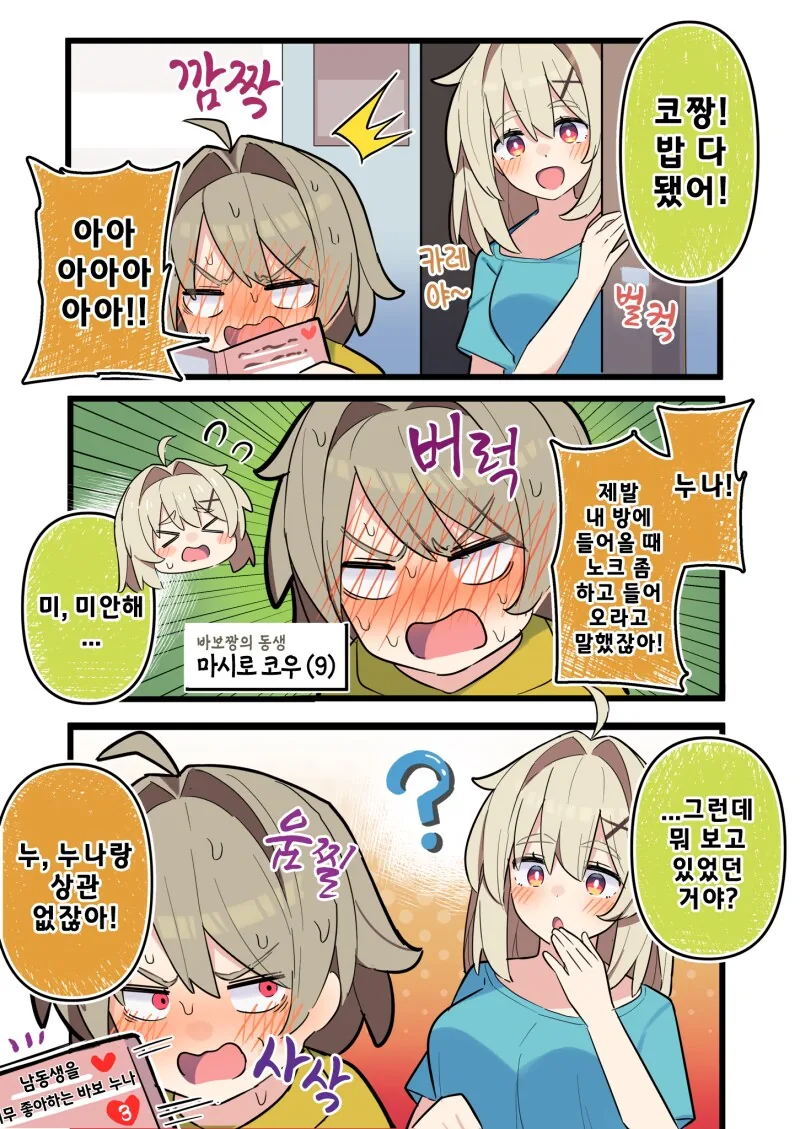 자신의 취향을 누나에게 들키기 싫은 동생 만화