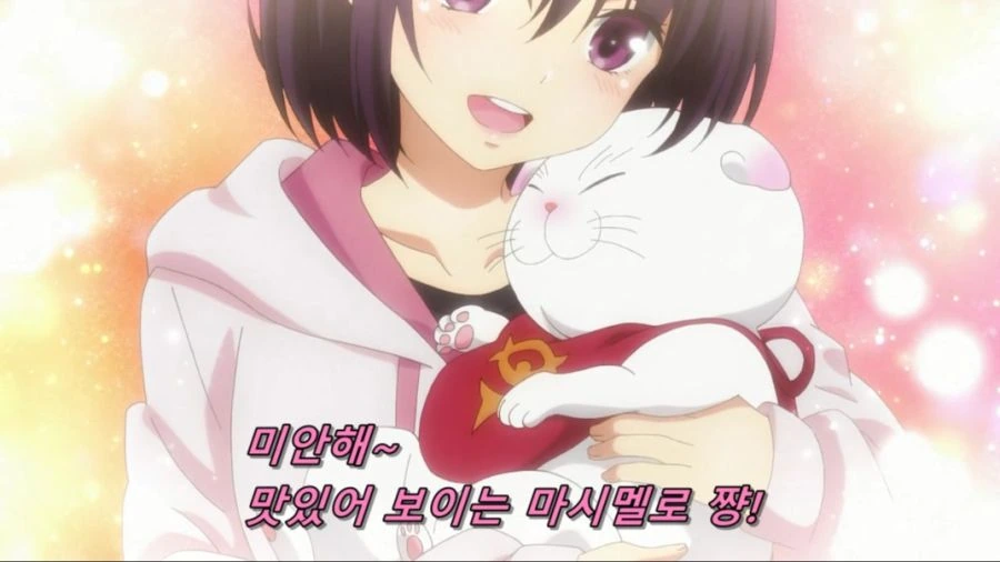 [아야카시트라이앵글]귀여운 뚱보 고양이