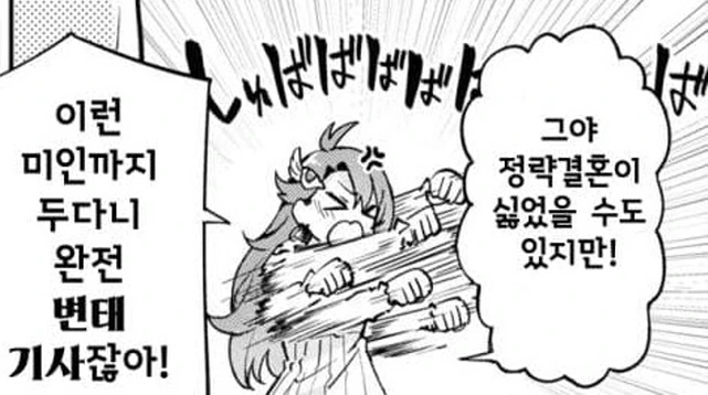 첫날밤이 필요없다는 흑기사 만화 - 이미지 14