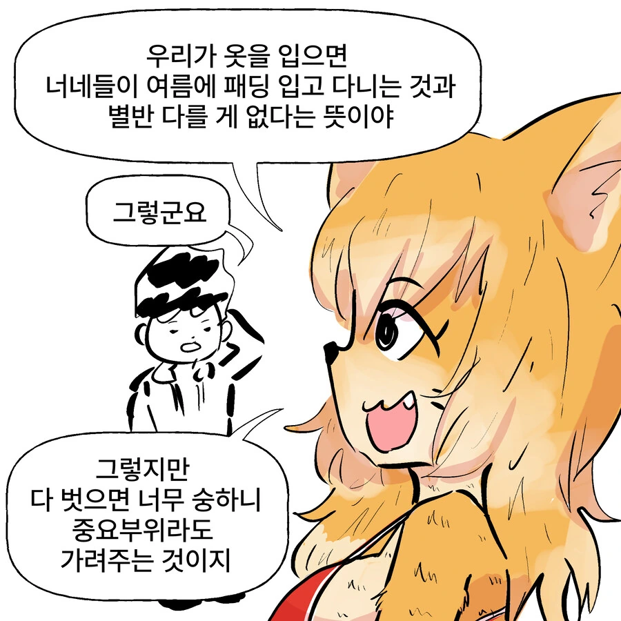 ㅂㅋㄴ 여우와 변태 토끼 과장 만화 - 이미지 3