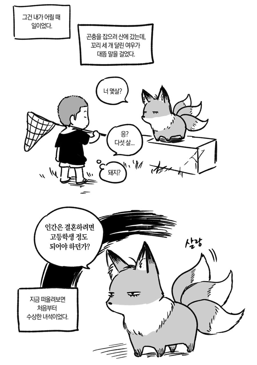 여우 .MANWHA