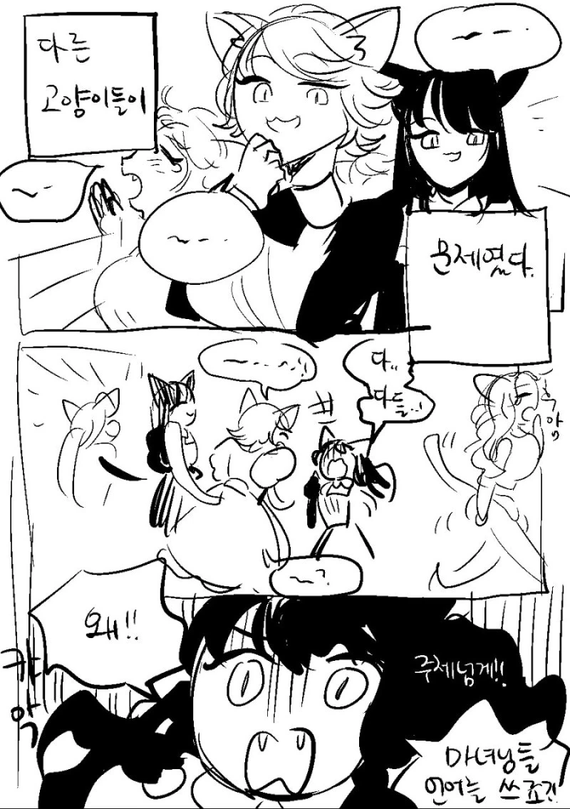 요오망한 고양이.Manga - 이미지 8