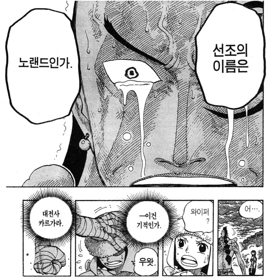 원피스) 의외로 루피 일당은 전혀 모르는 것 - 이미지 7