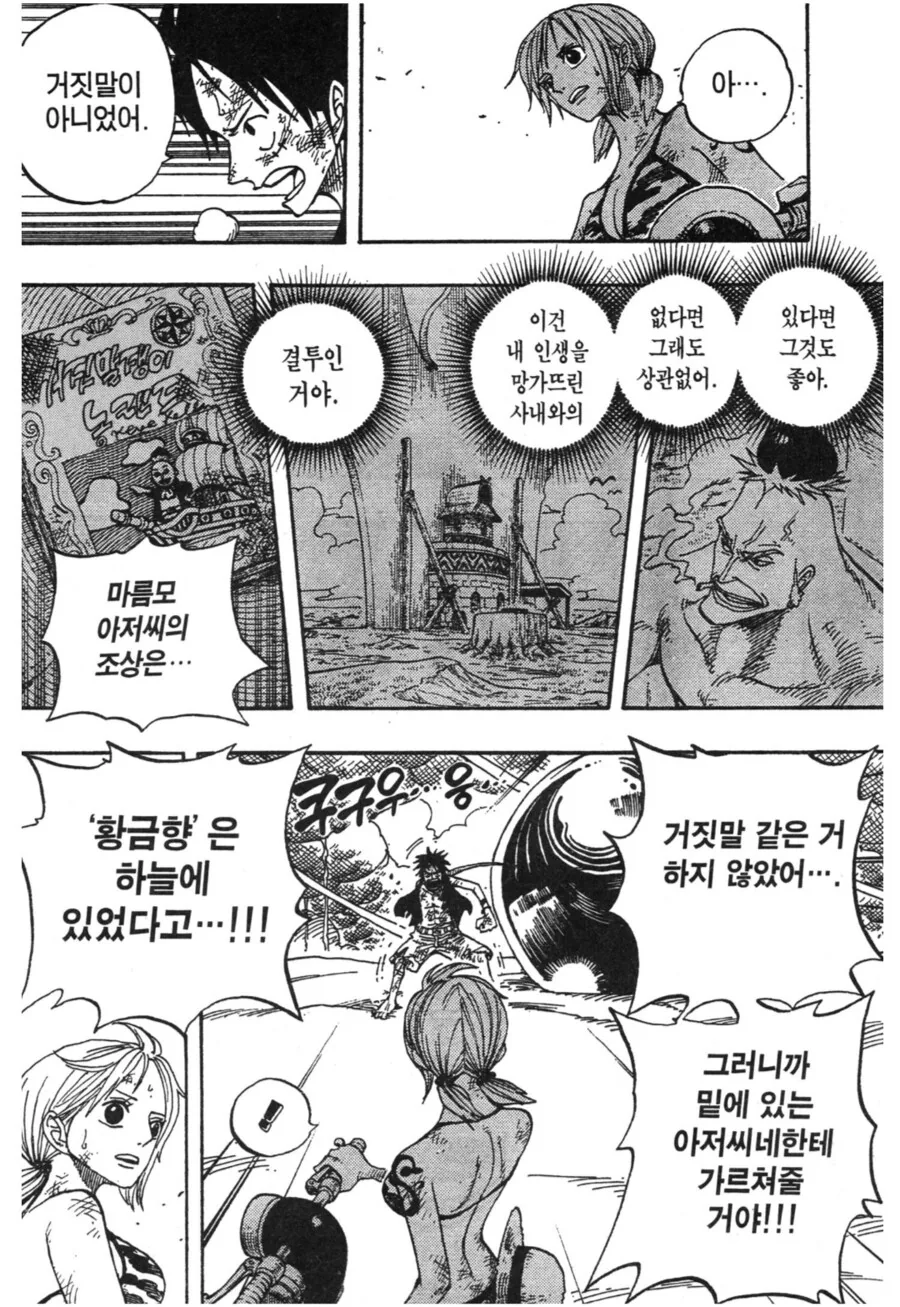 원피스) 의외로 루피 일당은 전혀 모르는 것 - 이미지 11