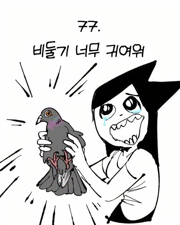 비둘기가 너무 귀여운 만화