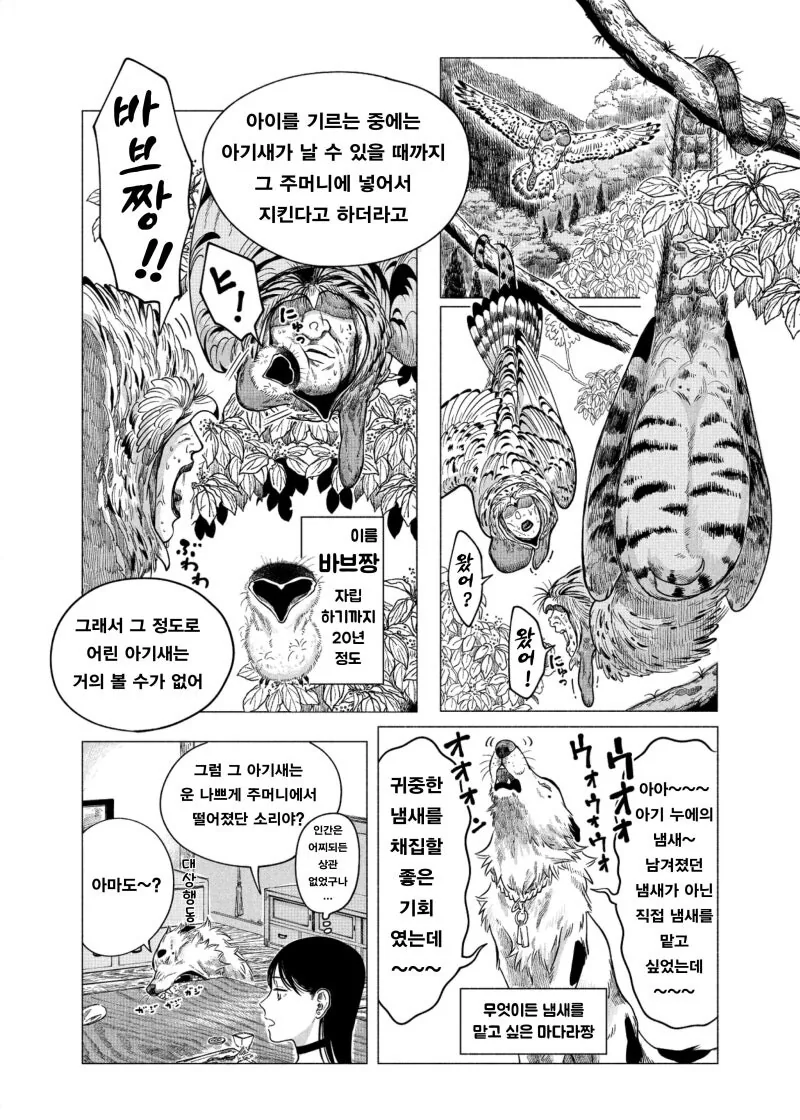 약혐) 귀여운 아기새 주워가는 만화 - 이미지 21