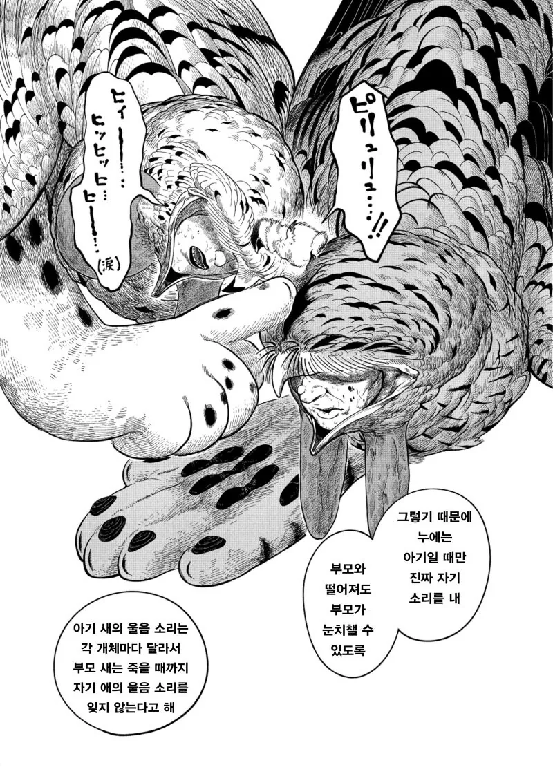 약혐) 귀여운 아기새 주워가는 만화 - 이미지 22