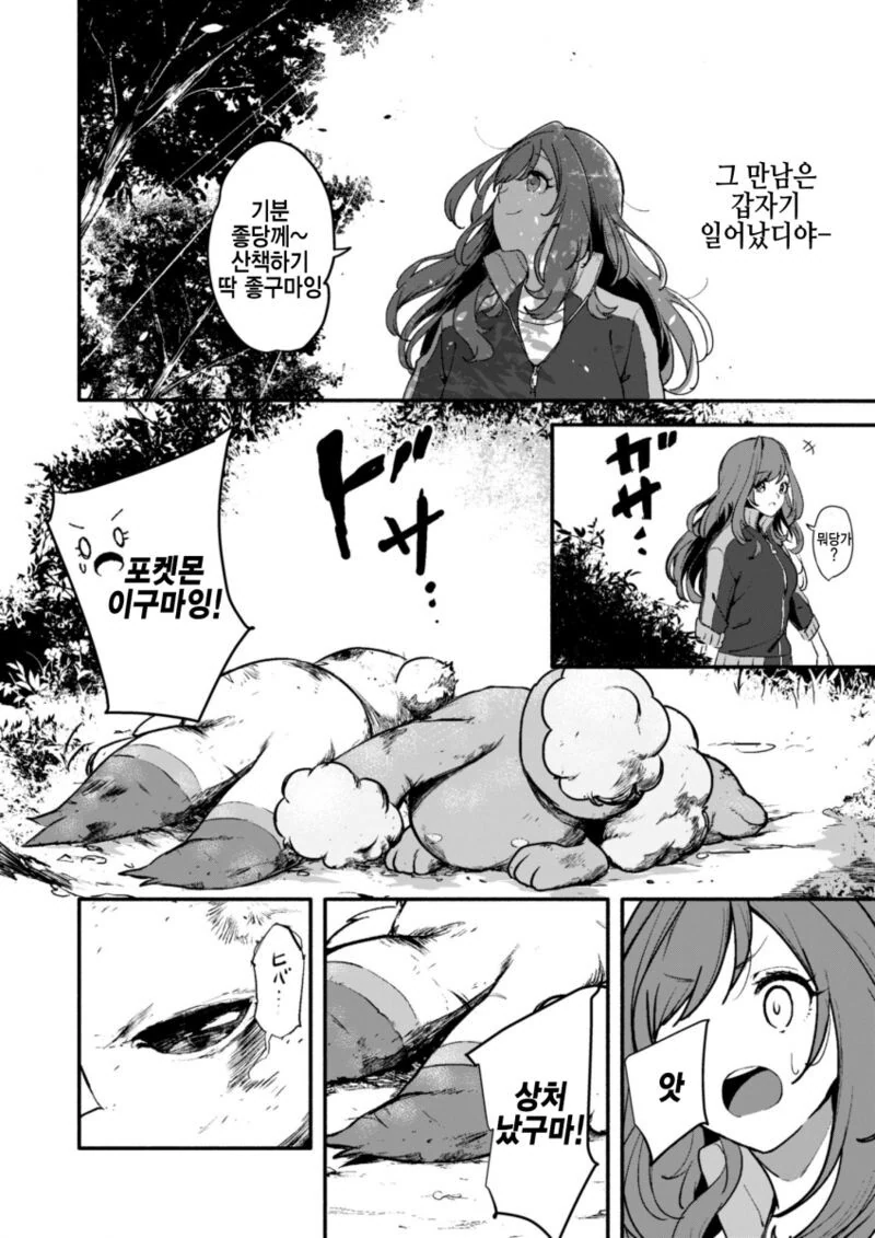 포켓몬을 줍는 Manhwa