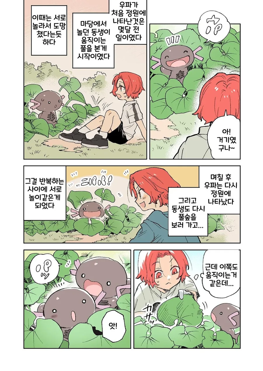 포켓몬 일상 만화 모음.webp - 이미지 36