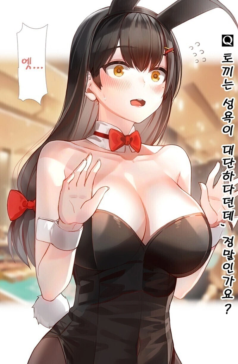 토끼의 ㅅㅇ에 대해 물어보는 만화.manhwa