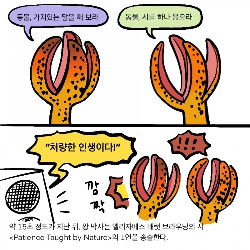 Scp) scp 재단에서 폰 섹수 서비스 제공하는 만화.manwha - 이미지 10